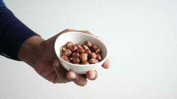 hand pick hazelnuts in a container with copy space video