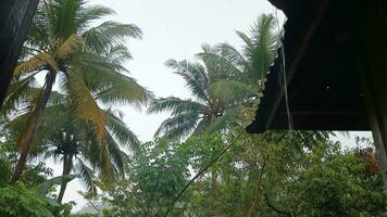 Heavy rain on roof tiles video