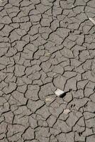 a dry cracked earth surface photo