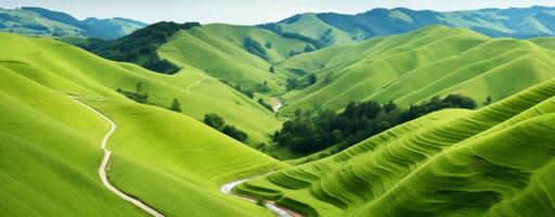 AI generated Vibrant Rolling Green Hills Under Blue Sky Serene Landscape photo