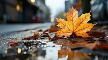 ai generado hermosa amarillo caído otoño arce hoja en el asfalto de el la carretera mojado desde lluvia, otoño en el ciudad foto