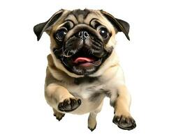 AI generated Cute pug puppy jumping. Playful dog cut out at background. photo