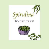 Background of spirulina pills - label in hand drawn sketch style. Vector illustration multicolored. Can used for superfood label, flyer, card.