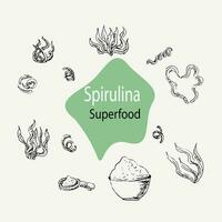 Vector background of spirulina - spirulina algae, pills and powder outline. Superfood. Vector hand drawn illustration. Vector collection can used for banner, label.