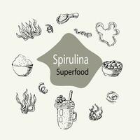 desintoxicación concepto espirulina algas marinas antecedentes. vector ilustración en bosquejo mano dibujado estilo. lata usado para superalimento bandera, sano productos etiqueta, antecedentes.