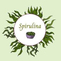 Background of spirulina pills in hand drawn sketch style. Vector illustration multicolored. Can used for superfood label, flyer, card.