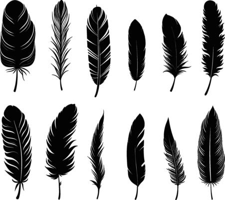 black feather on white background Stock Photo