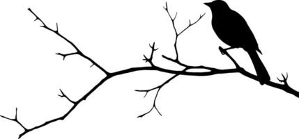 Bird on branch isolated on white background, vector. Bird silhouette on tree, illustration. Minimalist black and white art design. AI generated illustration. vector