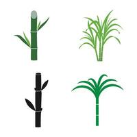 Sugar cane icon vector