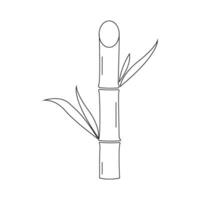 Sugar cane icon vector