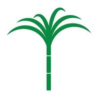 Sugar cane icon vector