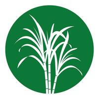 Sugar cane icon vector