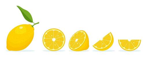 Lemon slices Icon set isolated on white background. Fresh citrus, half sliced lemons and chopped lemon. Cut lemons fruit slice and zest for lemonade juice, vitamin C. Vector illustration in flat style