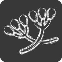 icono alcaravea. relacionado a hierbas y especias símbolo. tiza estilo. sencillo diseño editable. sencillo ilustración vector