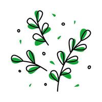 Green leaves on branches isolated on white background. To decorate your design vector
