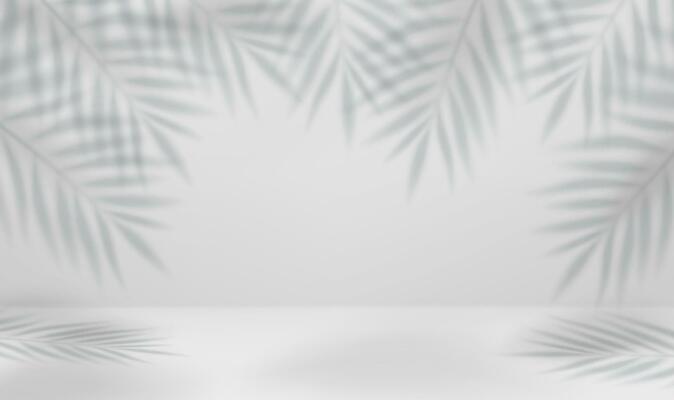 3d Empty light studio abstract background with spotlight effect and tropical palm leaves shadow. concept for your graphic design poster banner and backdrop. 3d rendering. Vector illustration
