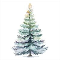 Watercolor green Christmas tree.Pine tree vector