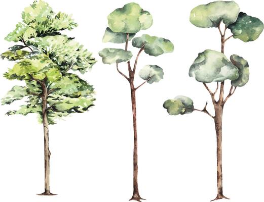 Hand drawn tree watercolor painting.Illustration autumn tree.For decorating cards, posters.