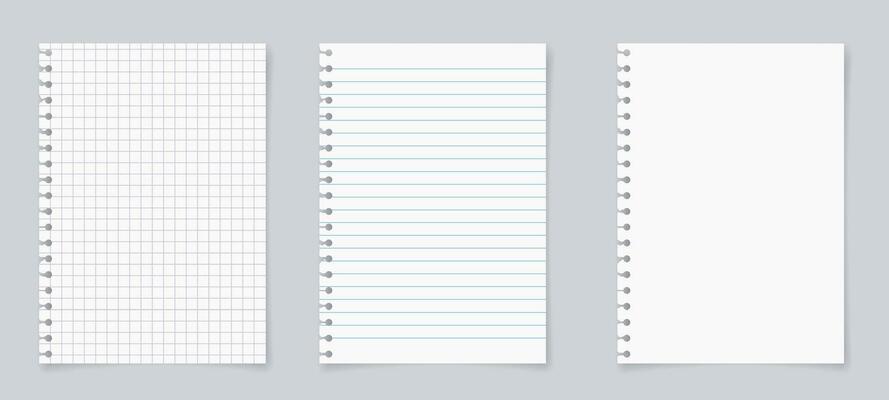 Set of realistic torn sheet of paper from a workbook with shadow, isolated on a gray background. paper sheets with lines and squares for memo. vector illustration.