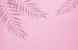 3d Empty light studio abstract background with spotlight effect and tropical palm leaves shadow. concept for your graphic design poster banner and backdrop. 3d rendering. Vector illustration