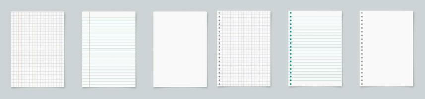 Paper page of notebook. School sheet with lines and grid. Notepad for mathematics and letter. Realistic blank notepaper with shadow isolated on gray background. vector illustration.