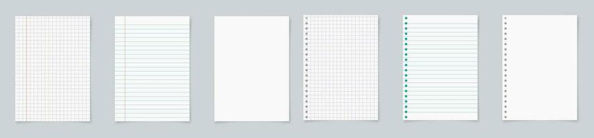 Paper page of notebook. School sheet with lines and grid. Notepad for mathematics and letter. Realistic blank notepaper with shadow isolated on gray background. vector illustration.