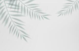 3d Empty light studio abstract background with spotlight effect and tropical palm leaves shadow. concept for your graphic design poster banner and backdrop. 3d rendering. Vector illustration