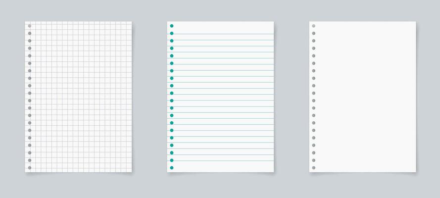 Paper page of notebook. School sheet with lines and grid. Notepad for mathematics and letter. Realistic blank notepaper with shadow isolated on gray background. vector illustration.