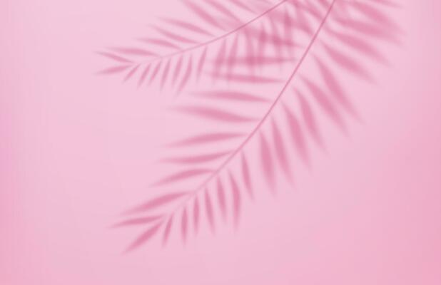 3d Empty light studio abstract background with spotlight effect and tropical palm leaves shadow. concept for your graphic design poster banner and backdrop. 3d rendering. Vector illustration