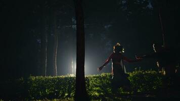 un Pareja es corriendo felizmente en un bosque con brillante luces video