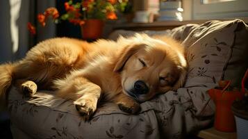 ai generado dorado perdiguero perro mentiras descansando duerme foto