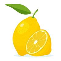 Lemon Icon isolated on white background. Fresh citrus, half sliced lemons. Cut lemons fruit slice and zest for lemonade juice, vitamin C. Vector illustration in flat style