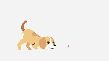 2D Animated Cartoon Dog Template video