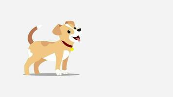 2d geanimeerd tekenfilm hond sjabloon video
