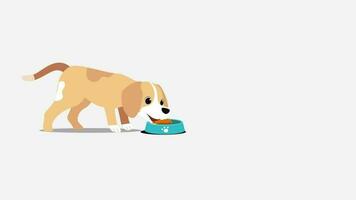 2D Animated Cartoon Dog Template video