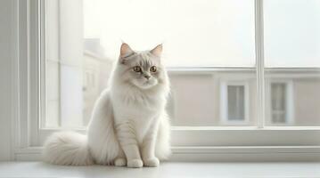 AI generated image of a cute cat seated on a windowsill photo