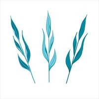 Vector set of long flowers, blue flowers and twigs with leaves, blades of grass, herbs. Botanical illustration with hand-drawn style.