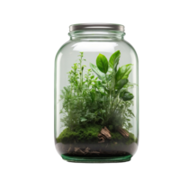 AI generated green plants in a jar isolated on transparent background png