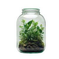 AI generated green plants in a jar isolated on transparent background png