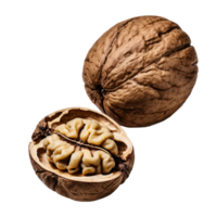 AI generated walnut isolated on transparent background png