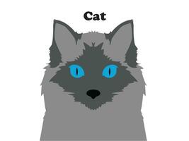 Beautiful Himalayan cat vector with detailed illustration and charming expressions in vector art
