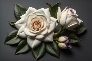 AI generated White rose with green leaves on a solid color background, top view. ai generative photo