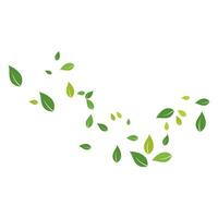 Eco nature Leaf Background Vector Illustration