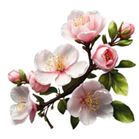 AI generated quince blossom isolated on transparent background png