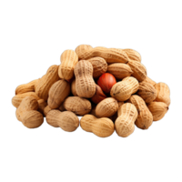 AI generated ripe peanut fruit png