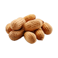 AI generated ripe peanut fruit png