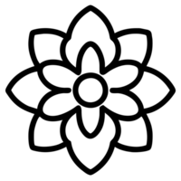 beautiful flower outline png