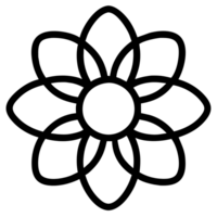 beautiful flower outline png