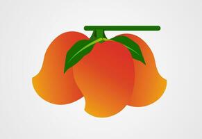 mango frutas colorante paginas vector ilustración gratis vector