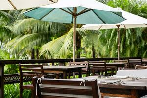 Outdoor restaurant surround palm trees. photo